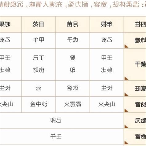 八字解釋|靈匣網生辰八字線上排盤系統